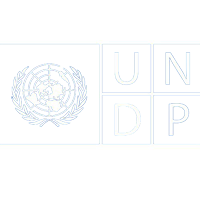 undp trans