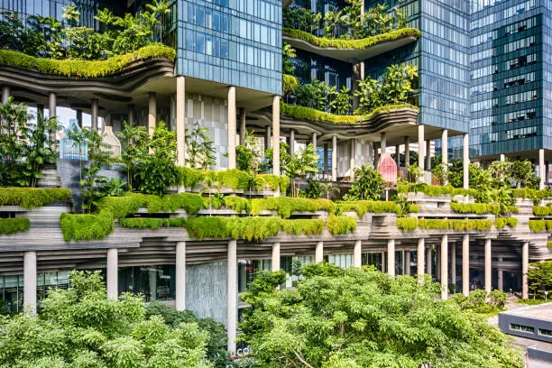 Choose Hotels With Green Certifications